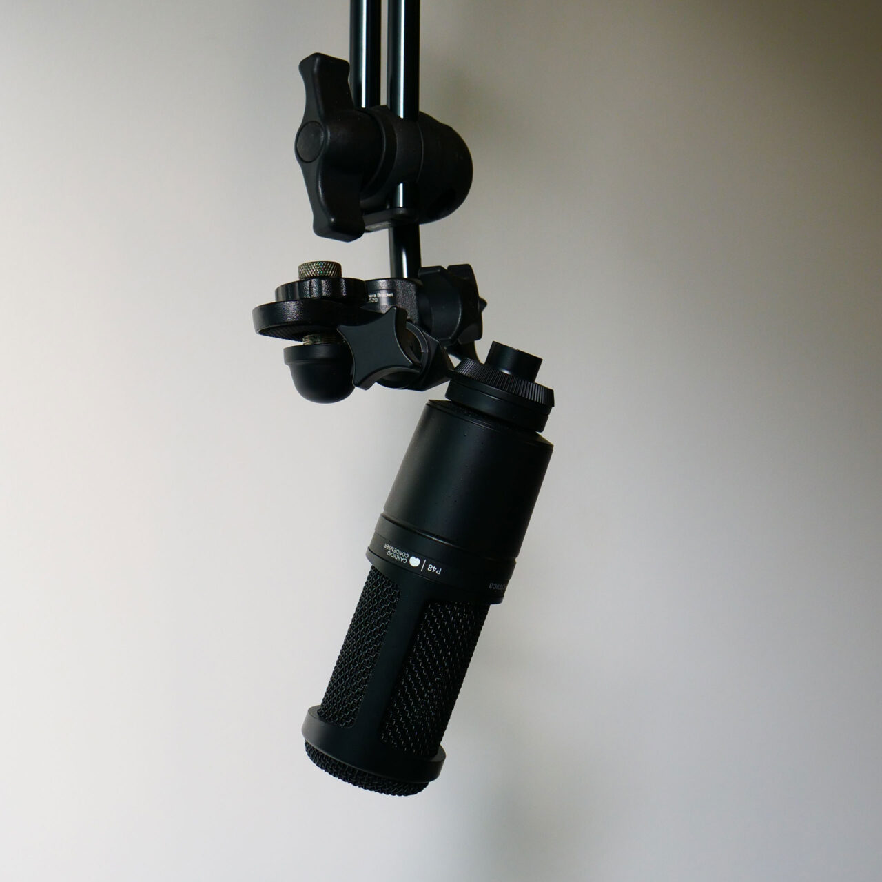 Microphone and audio capture equipment